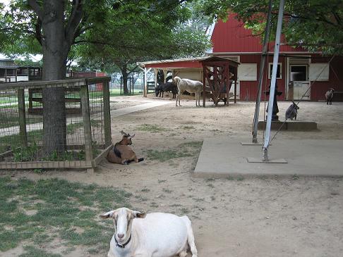 park4